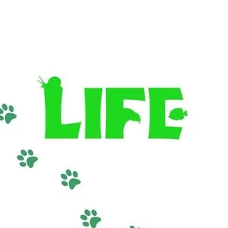 LIFE CHANNEL "ANIMALIA"
