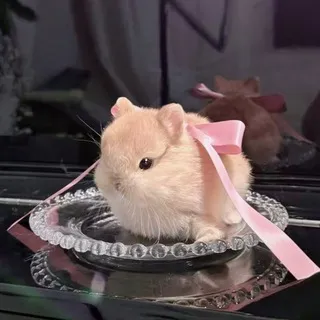 блин блин