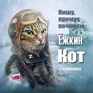 Ёжкин кот