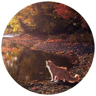 🍂Autumn season🍂 [Сетка Осенняя пора]