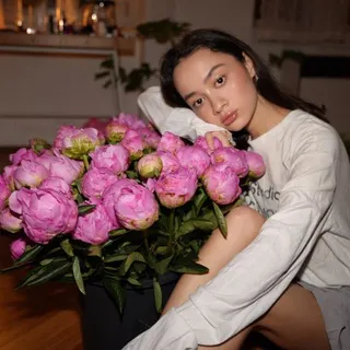 Фикусидзе ✔