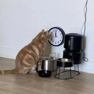 Запрет на прошлое?
