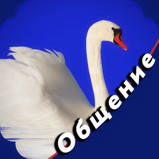 Родник 🇷🇺 | Обсуждаем, комментируем