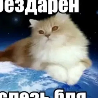 ээьля папка