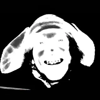 ЛОГОВО ЖУКА