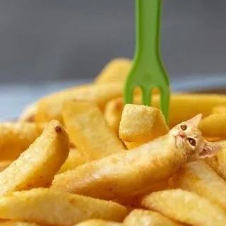 буллинг несоно щп несоно хуесо