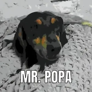 oh woopi ...