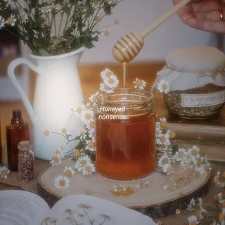 ⊹｡° 𝘩𝘰𝘯𝘦𝘺𝘦𝘥 𝘯𝘰𝘯𝘴𝘦𝘯𝘴𝘦 ˎˊ˗