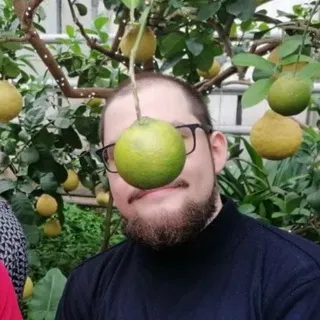 телега для ночьлега
