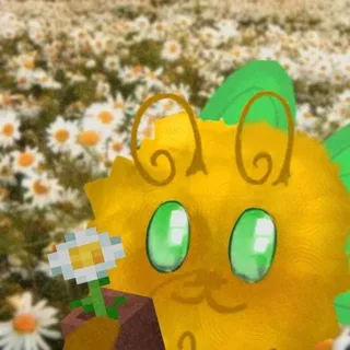 DaRaer