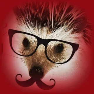 Hedgehog_tar
