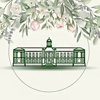 Тимирязевка. Online