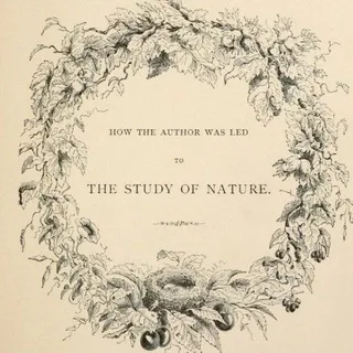 De Natura - Biological Illustrations