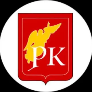 Родительский комитет СПб - чат по текущей работе