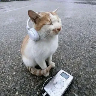 ЩП• ФИСНЕШЛИ