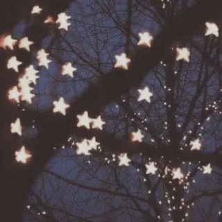 🌙️Звездопад Carol🌙️
