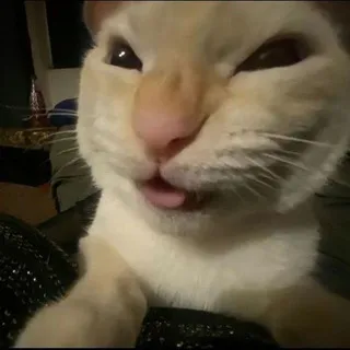 Клубничные десантники