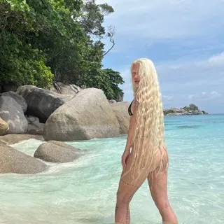 HOFMANNITA SHOW