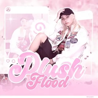 𑣲𝑷𝑳𝑼𝑺𝑯 𝑰𝑵𝑭𝑶ˎˊ˗