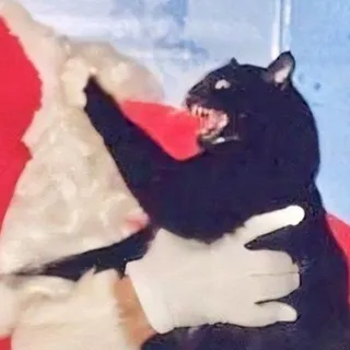 ✶| ролл панкейс