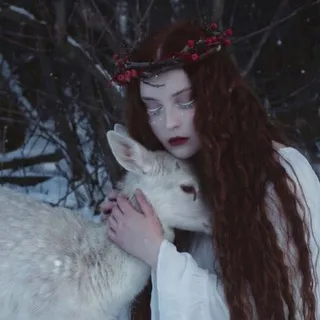 ReindeerPh 📷