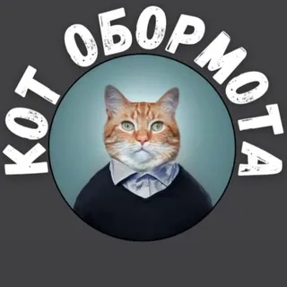 Кот обормота 🇷🇺