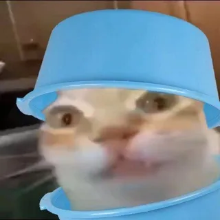 Вывоз Вылов Волов (ВыВыВо)