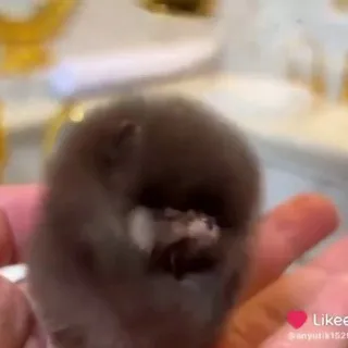 площадка🌰