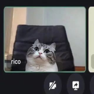 кавайные котики и незамысловатые комментарии