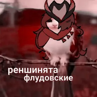‘ℛ𝑒𝑛𝑠ℎ𝑢︶ ℱ𝑙𝑜𝑜𝑑, (инфо) #какашке #обанайпикми #фанатышурки
