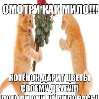 Разговоры с Венди👻