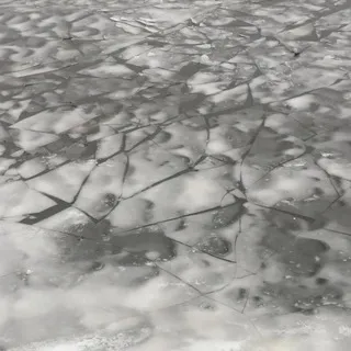 '