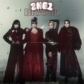 2NE1 BRASIL 𓆩♡𓆪
