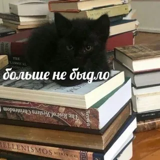 Книжные червяки 🪱🪱