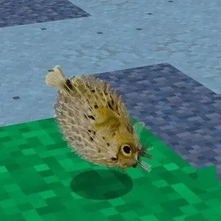 🐡громкий аквариум !!!!