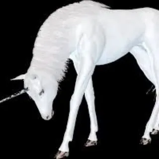 Crazy Horse Club