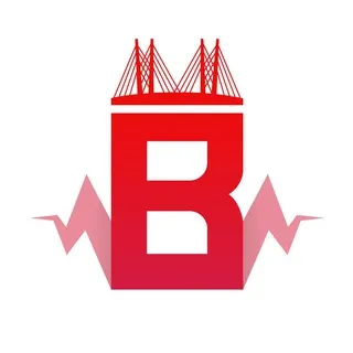 Пульс Владивостока