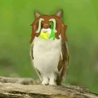 ᴋᴀᴋᴀʙа