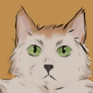 кошачья вата
