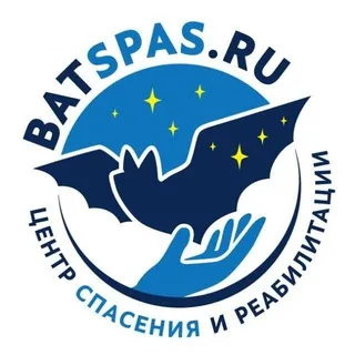 🦇 batspas 🦇