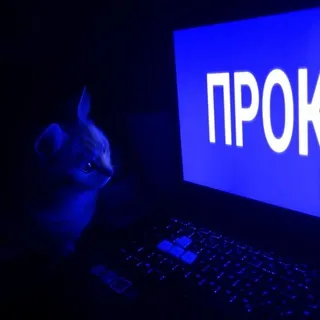 Прок√ᵇⁱᵒ