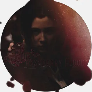 Raspberry Flood🍓
