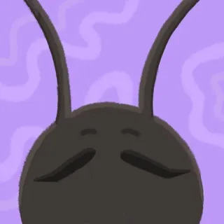 Vikoloko🐞