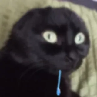 Щп Латте