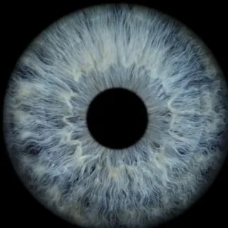 𝘮𝘢𝘳𝘭𝘦𝘯𝘢 𝘴𝘶𝘯𝘴𝘩𝘪𝘯𝘦⋆｡𖦹°