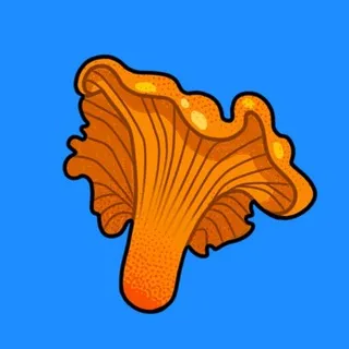 🍄Лисичка🍄 (MerryWind)