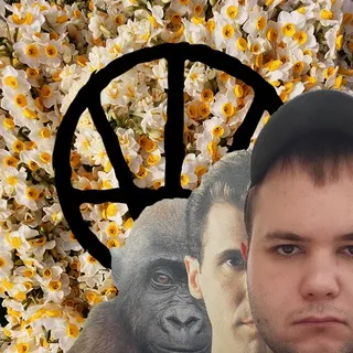 БЕЗ ИСТИНЫ