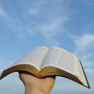 🙏PALAVRA DE DEUS🙏
