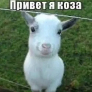 S3CRETS || велкхкс