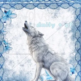 : ̗̀➛ ᥕ᧐ᥣ᥎ᥱs ɗᥲiᥣy + ᥴf 🐺 ۰ ۪۪۫۫ ·